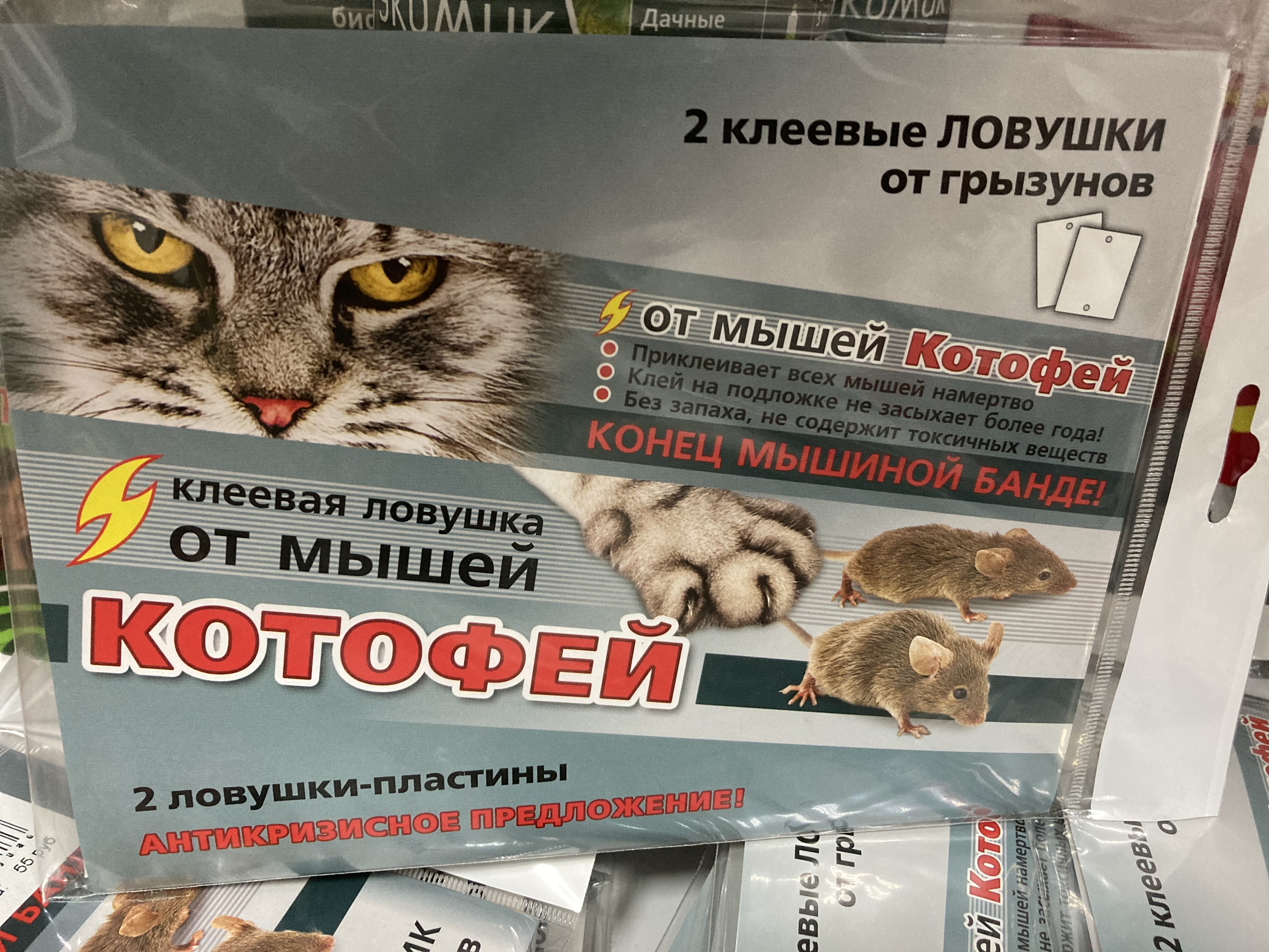 Котофей клеевая ловушка от мышей ВХ 2лов.